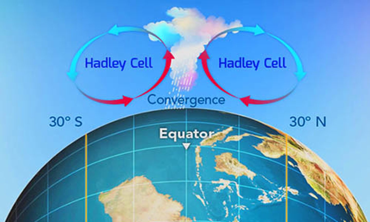 <p>Atmospheric convection cells that move warm air from the equator to about 30° latitude.</p>