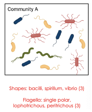 <p>(3) microbial diversities: phylogenetic distance</p>