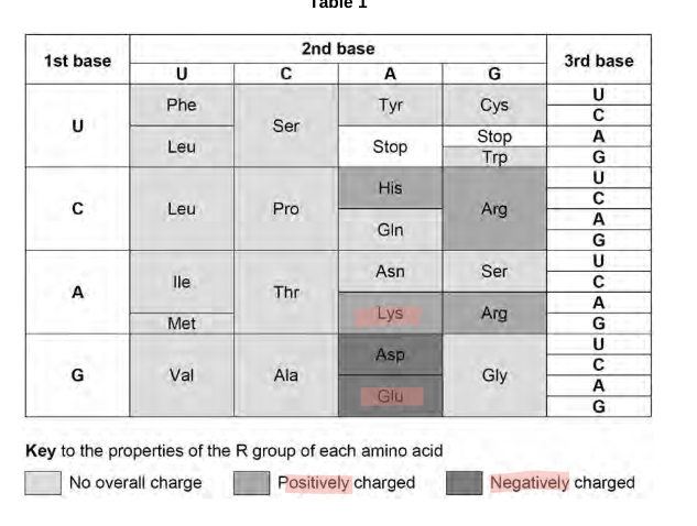 <p>A change from Glu to Lys at amino acid 300 had no effect on the rate of reaction catalysed by the enzyme. The same change at amino acid 279 significantly reduced the rate of reaction catalysed by the enzyme. Use all the information and your knowledge of protein structure to suggest reasons for the differences between the effects of these two changes. [3 marks]</p>