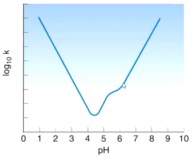 <p><u>How can we prevent hydrolysis of drugs that contain esters and amides?</u></p><p><strong>Changing the solution itself</strong></p><p>What is this curve showing?</p>