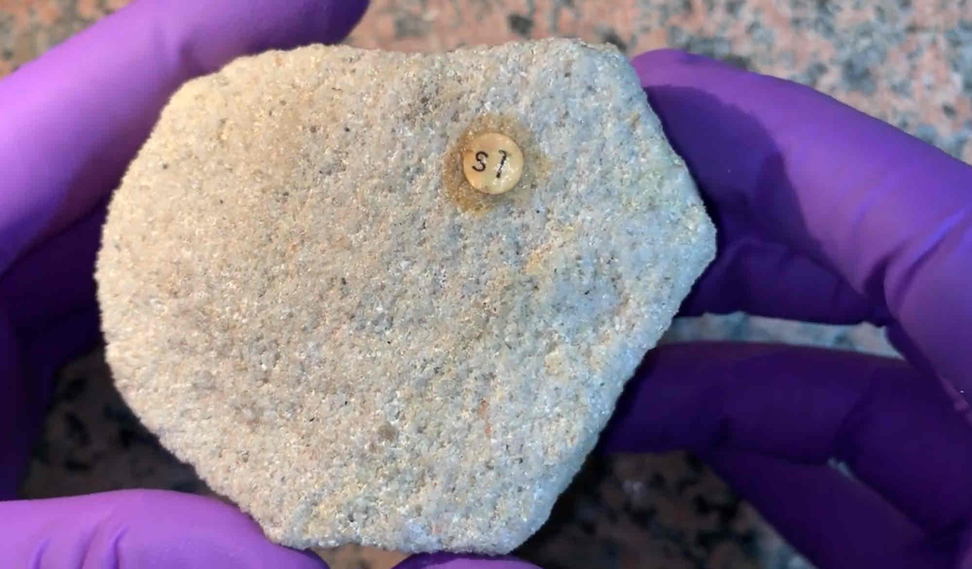 <p>rock and add heat and pressure?</p><p>hint: see grains with naked eye, can see crystals with hand lens</p>