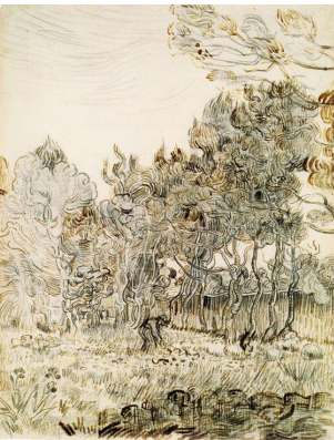 term image