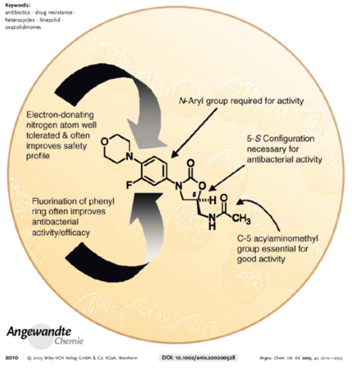 <p>- fully synthetic</p><p>- oxazolidinones 5 membered ring with nitrogen and oxygen defines the structure (carbonyl = -one)</p><p>- linezolid </p>