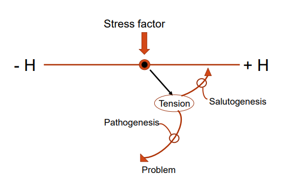 <ul><li><p><strong>A visual tool that can be used to help people make healthy choices in their lives</strong><span>. </span></p></li><li><p><span>At one end of the continuum is premature death, while optimal health lies at the other.</span></p></li></ul>