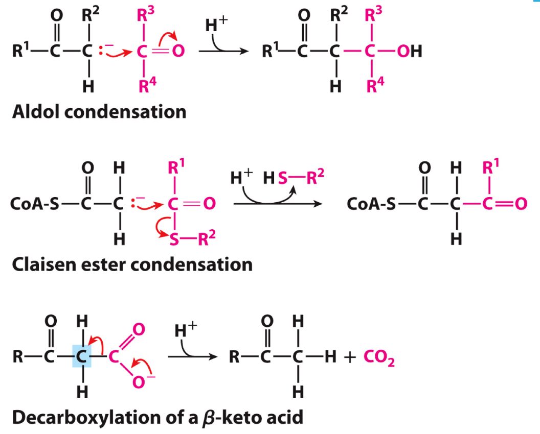 <ol><li><p>Aldol condensation - carbanion serves as nucleophile and carbon of carbonyl serves as electrophile</p></li><li><p>Claisen ester condensation - carbanion stabilized by carbonyl of an adjacent thioester</p></li><li><p>Decarboxylation of a Beta-keto acid - carbanion forms as the CO2 leaves</p></li></ol><p></p>