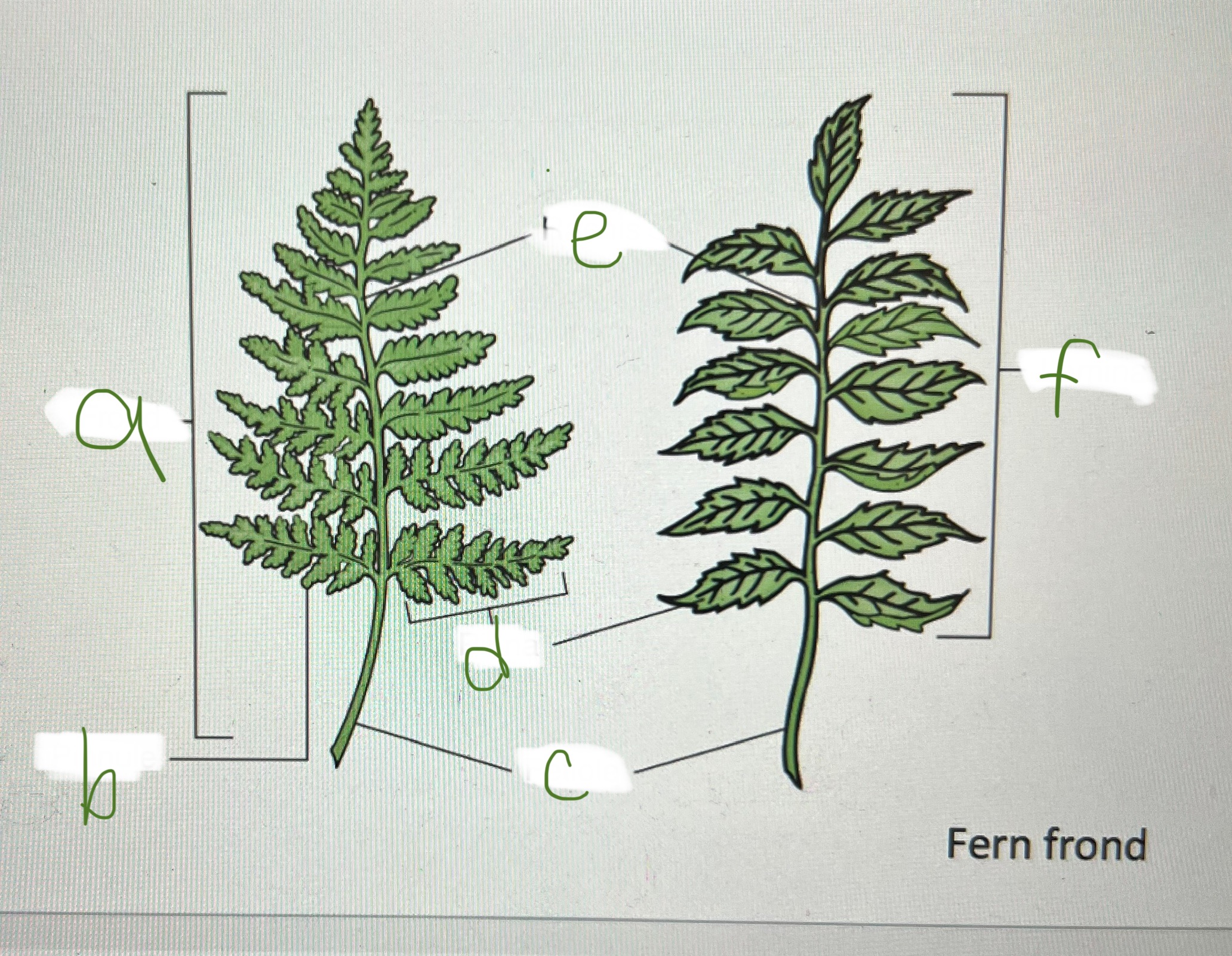 <p>b</p>