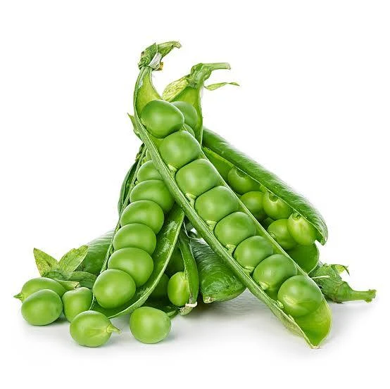 <p>Pea. Pod splits along seams</p>