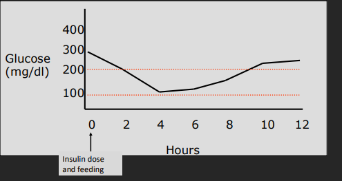 <p><span style="background-color: transparent;"><strong>Monitoring Diabetes Mellitus Patients</strong></span></p>