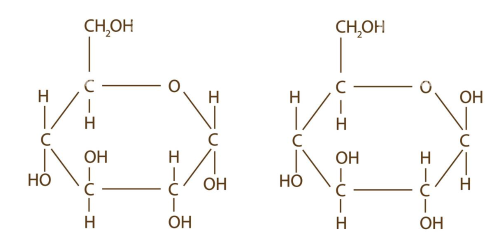 <p>which amino acid is a beta amino acid</p>