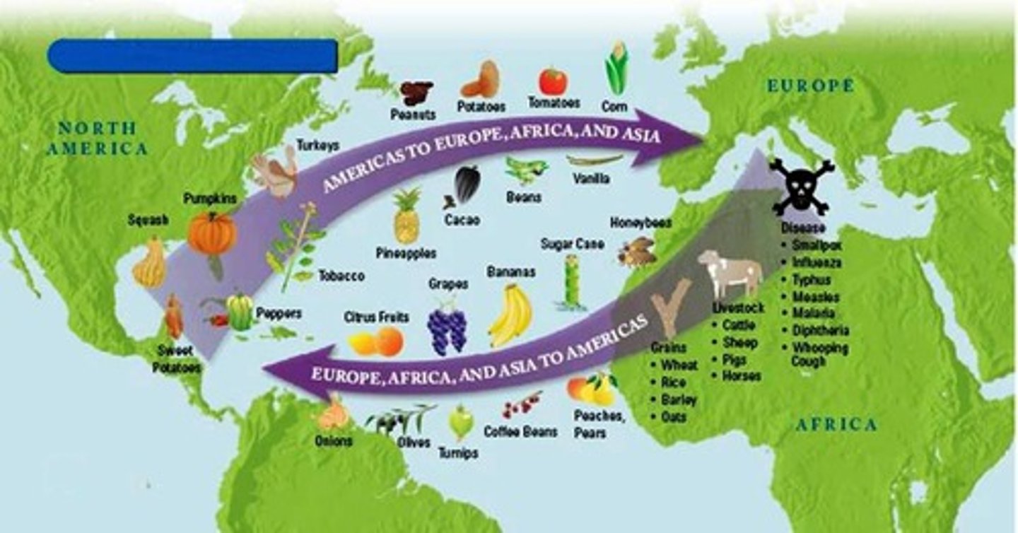 <p>The exchange of plants, animals, diseases, and technologies between the Americas and the rest of the world following Columbus's voyages.<br>Resulted in population decline of Native Americans</p>