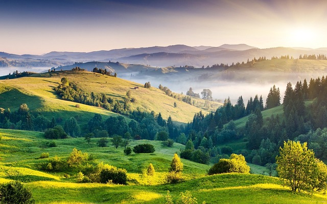 <p>morning (forenoon</p>