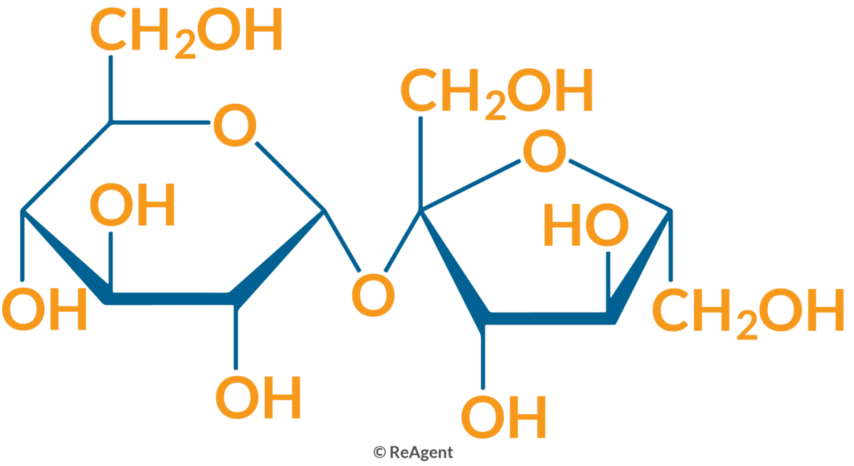 <p>Sugars made of two monosaccharides joined by a glycosidic bond (examples: sucrose, lactose, maltose).</p>