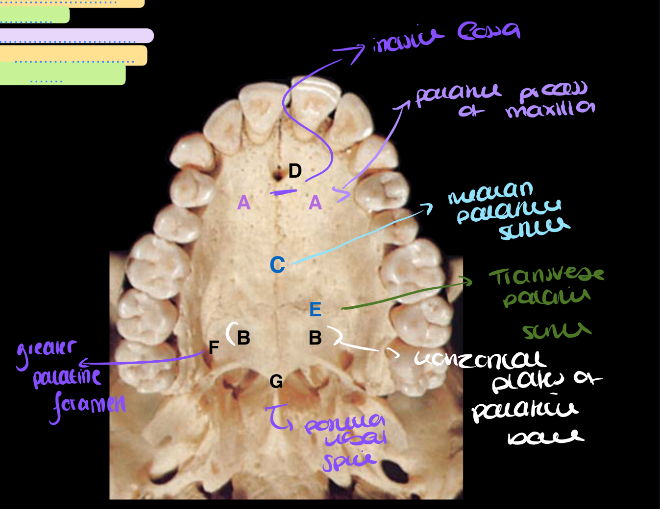 knowt flashcard image