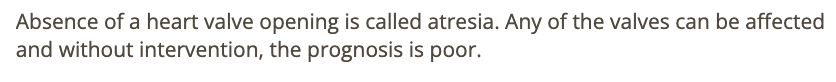 <p>d) aortic atresia</p>