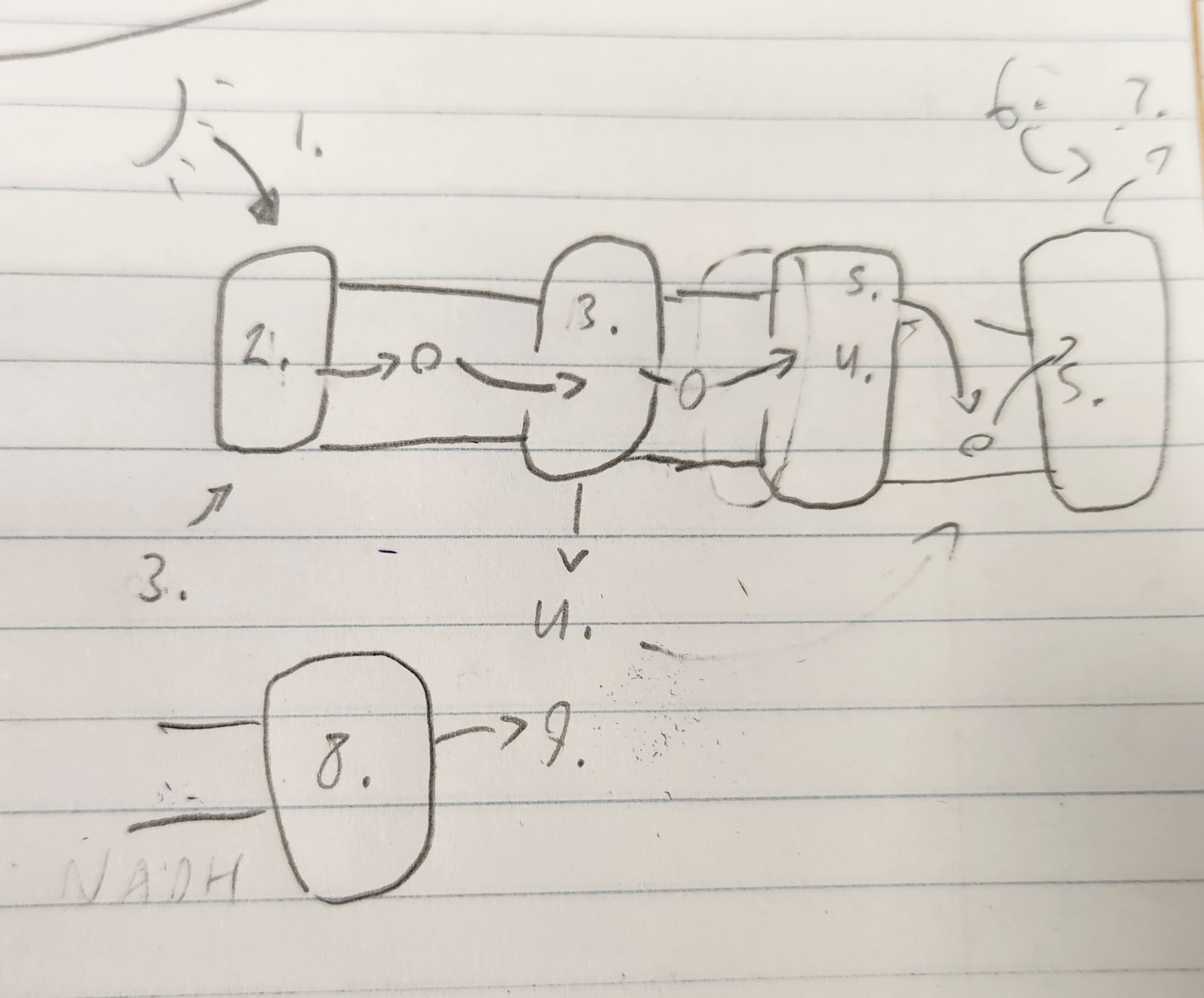 <p><strong>What is 3?</strong></p>