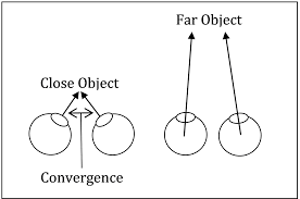 <p><span style="color: purple;">depth cues that only require <strong>one</strong> eye</span></p>
