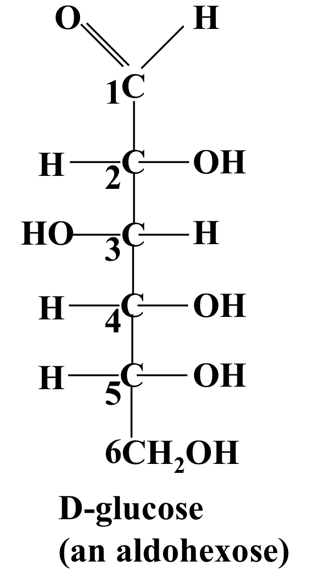 D-glucose is an extended glyceraldehyde, so is an aldohexose with most similarity to D-glyceraldehyde. 