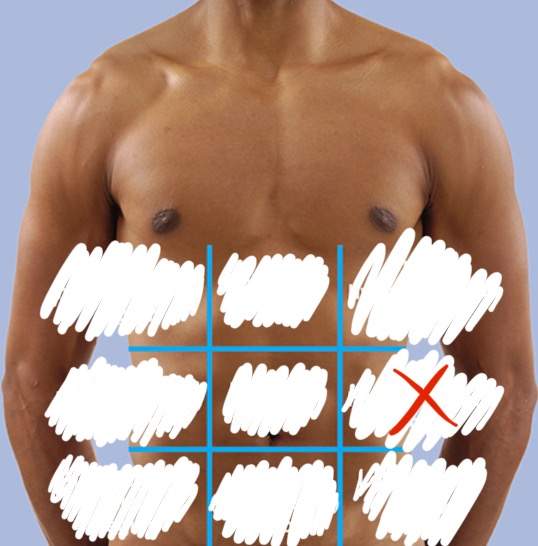 knowt flashcard image