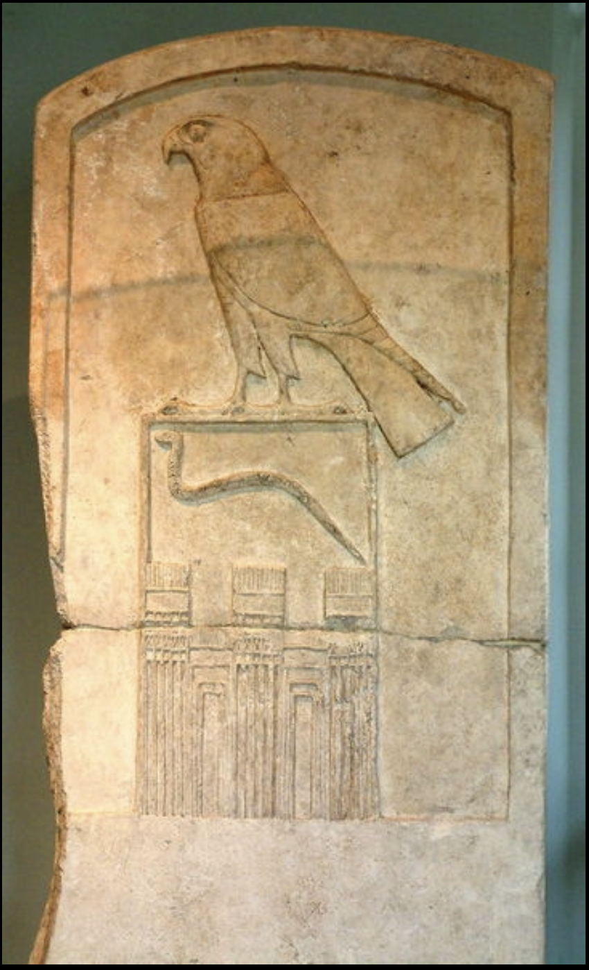 term image