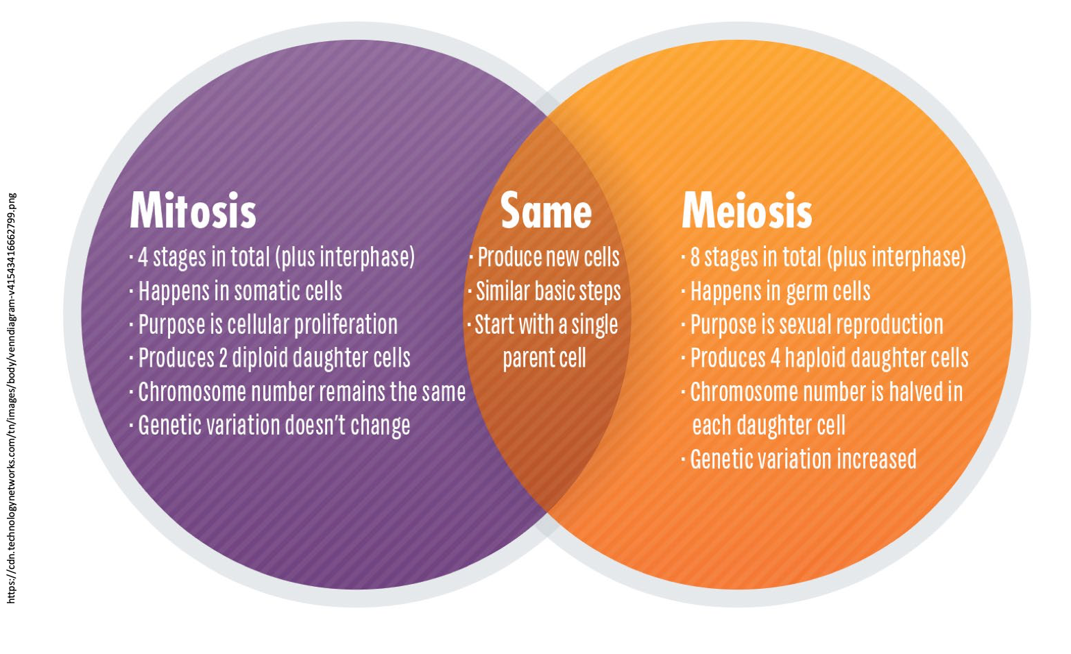 <p>comparison of mitosis and meiosis </p>