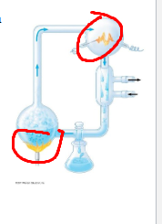 <p>what are the two processes circled</p>