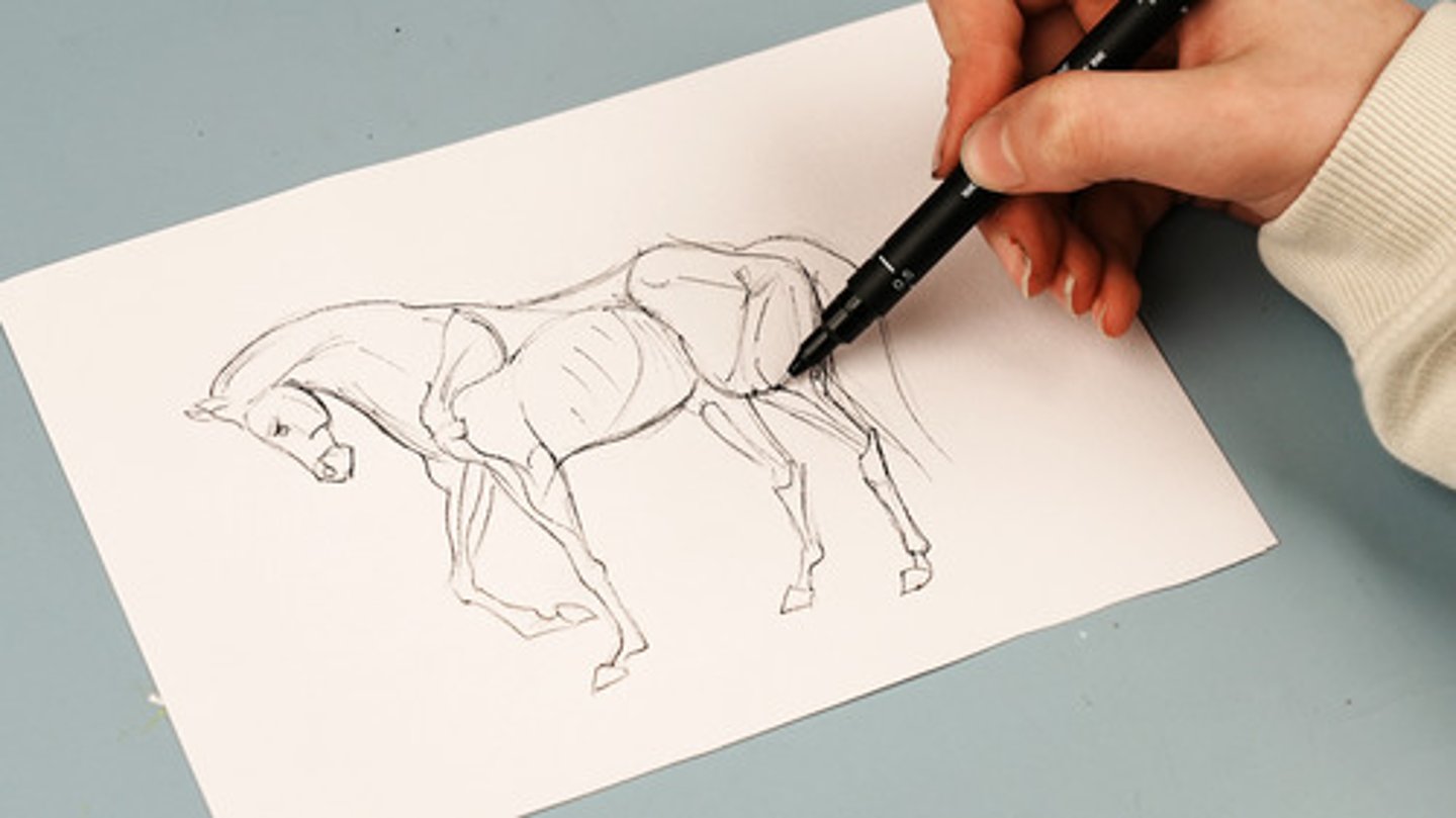 <p>to make a picture of something or someone with a pencil or pen</p>