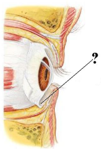 <p><span><span>Identify the indicated space.</span></span></p>