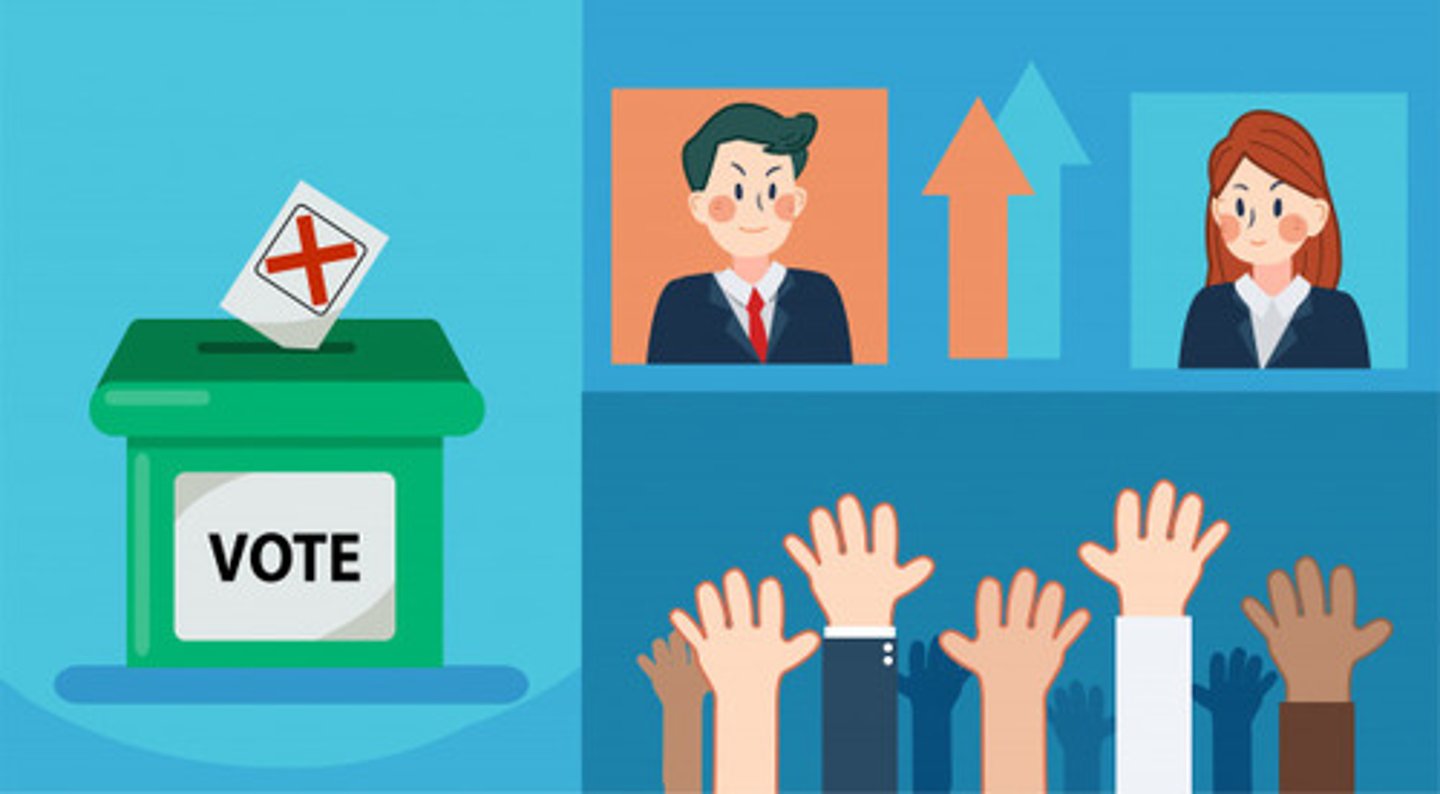 <p>(v) bầu, quyết định</p>