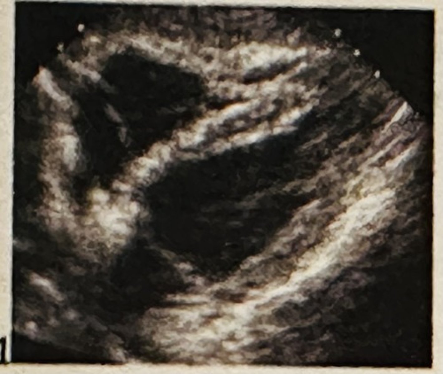 <p></p>