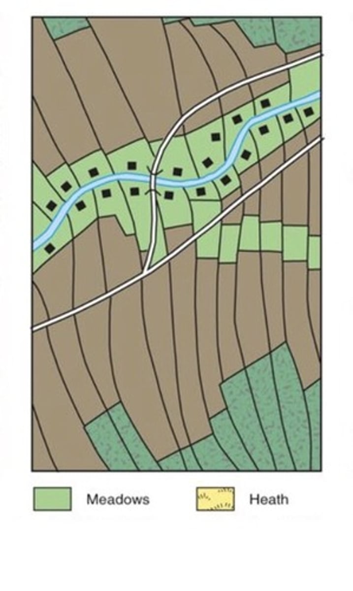 <p>a rural land use pattern that creates a long, narrow settlement around a river, coast, or road that looks like a line</p>