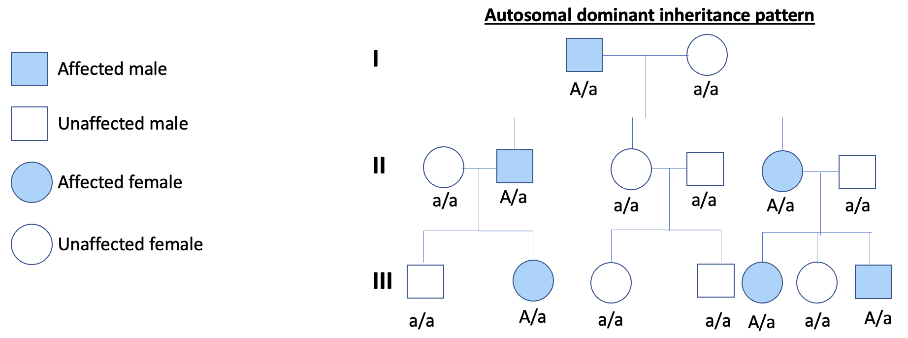 <p>What is an autosomal dominant disorder? </p>