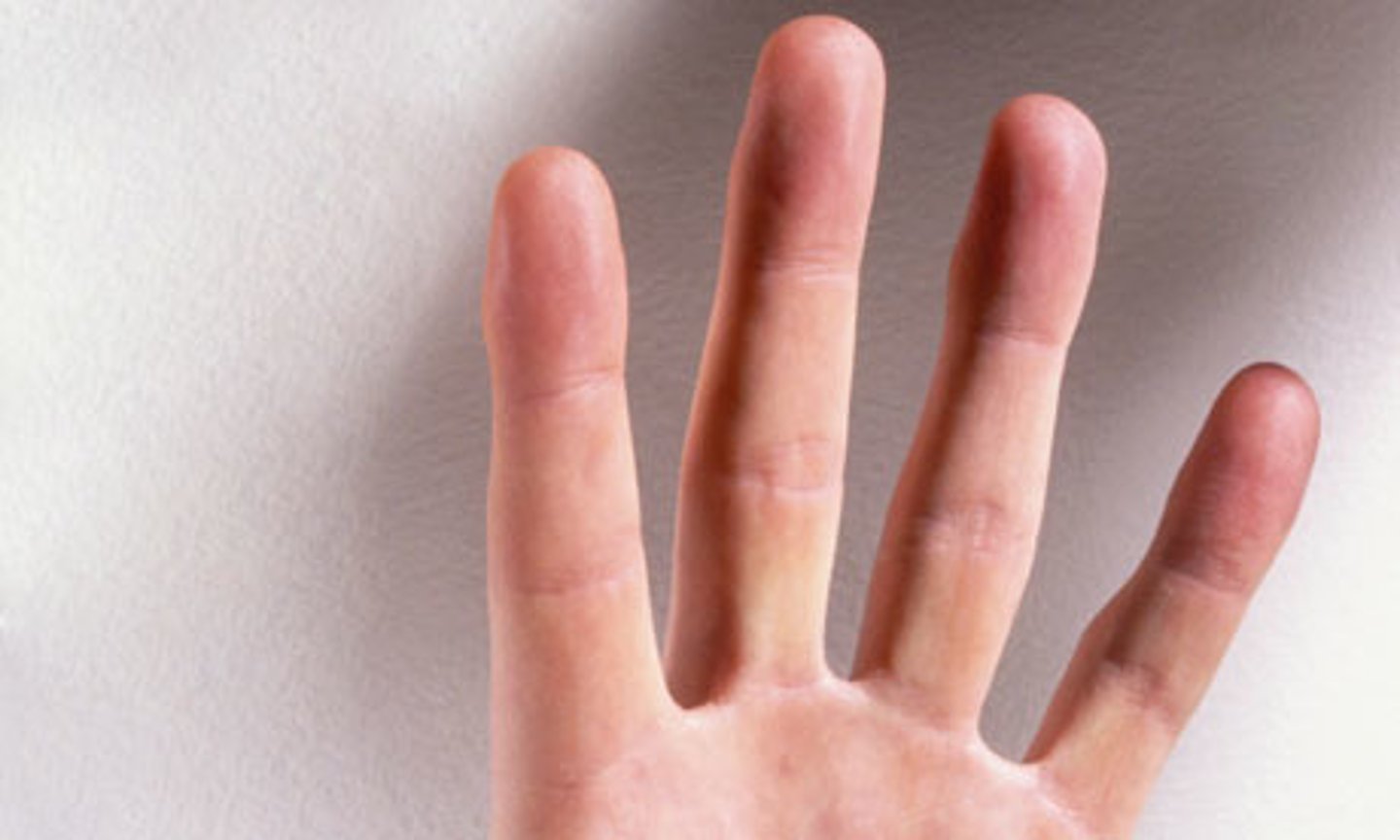 <p>fingers</p>