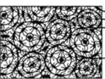 <p>What type of bone is seen in this picture?</p>
