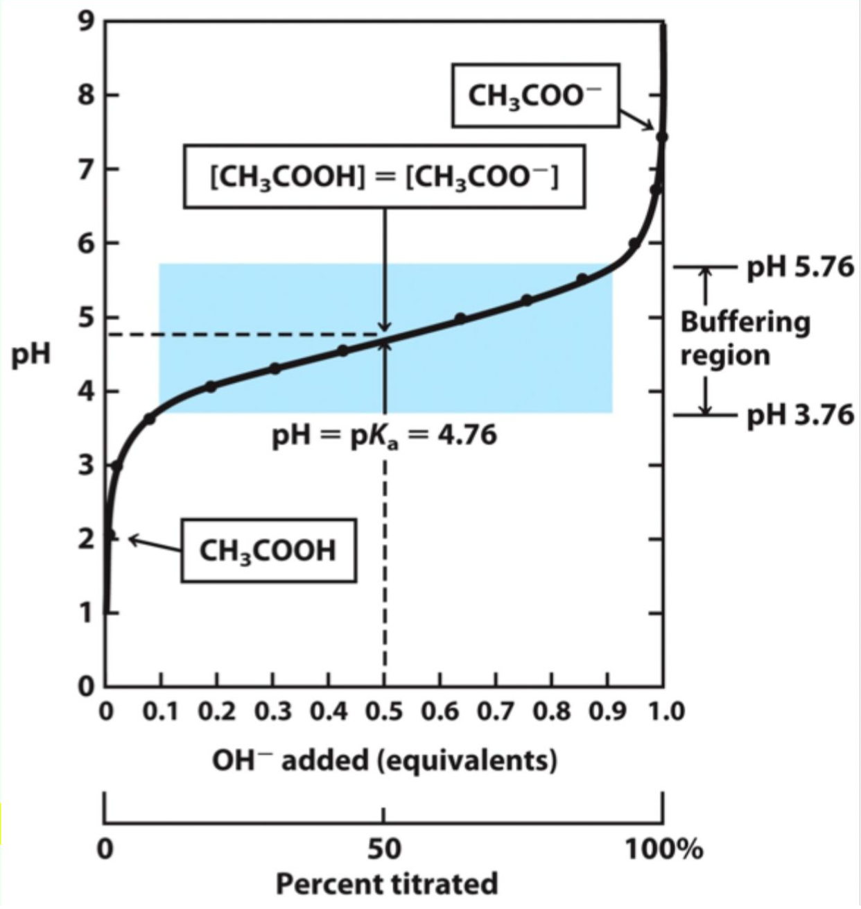 <p>Added H+ or OH- is absorbed by the conjugate base or acid.</p>
