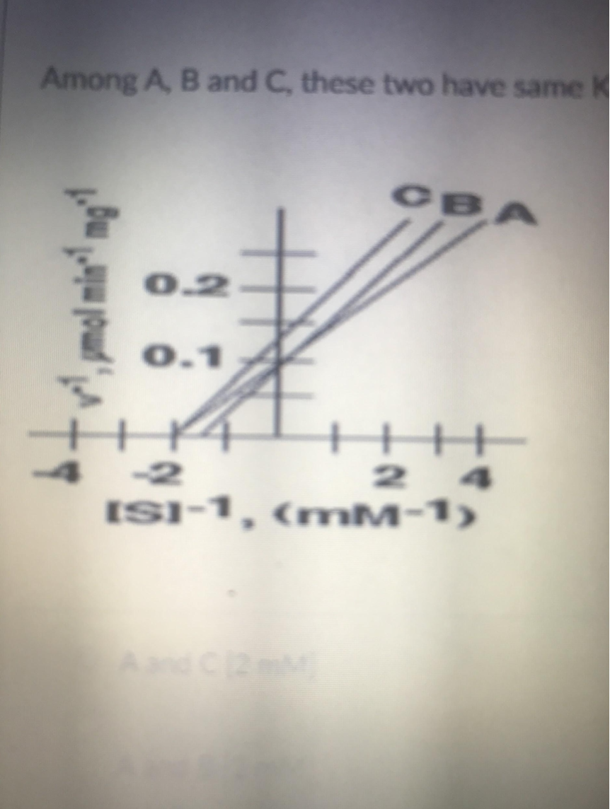 <p>what is the Vmax of inhibitor A in micromol/min/mg?</p>