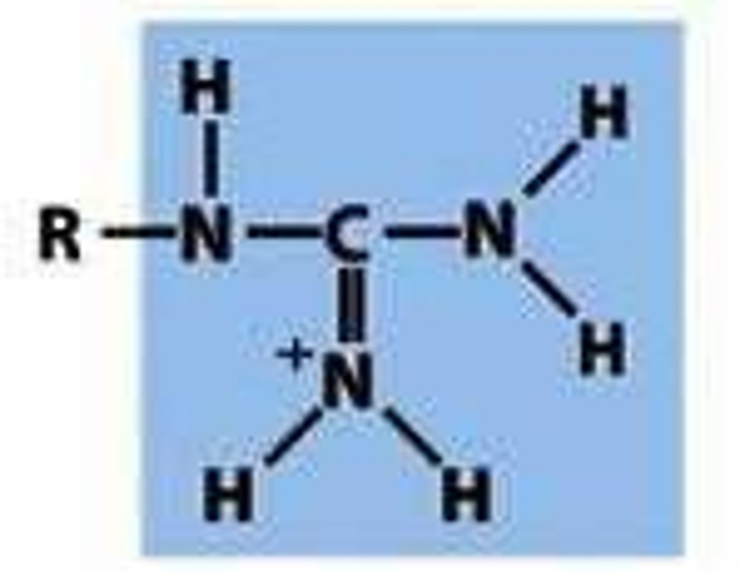 <p>-a carbon bonded to three amino groups (one is attached by a double bond)</p><p>-has resonance</p>