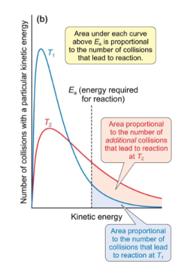 <p>proportional to number of collisions leading to reaction </p>