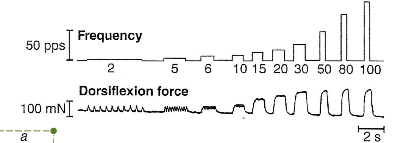 <p>compare 30pps (impulses per second) to 100pps</p><p>why does this happen?</p>