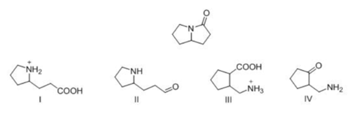 <p>A</p>