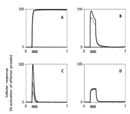 <p>Which has the fastest signal adaptation?</p>
