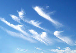 <p>conditions that cause tropical storms and why 4)</p>