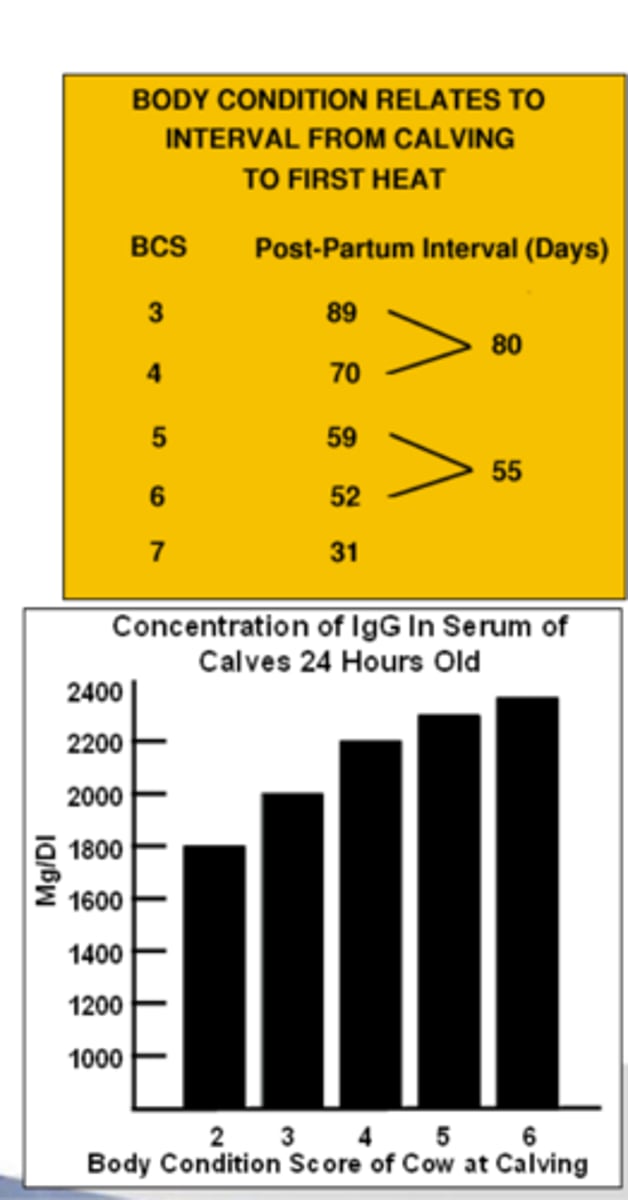 <p>what will low or high (outside of 5-7 range) do to pregnancy rate</p>