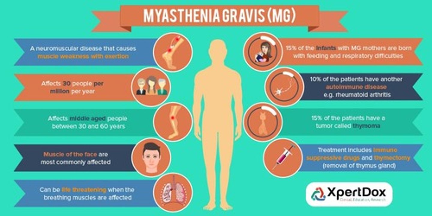 <p>What: Neuromuscular junction disorder caused by autoimmune medicated acetylcholine receptor damage resulting in NM transmission deficits</p><p>Who: all genders, races, ages, average age onset 20-50's</p><p>Clinical Presentation:</p><p>-asymmetrical ptosis</p><p>-diplopia</p><p>-unstable/waddle gait</p><p>-limb/cervical weakness</p><p>-facial expression changes</p><p>-dysarthria</p><p>-dysphagia</p><p>-respiratory weakness</p><p>-Weakness will improve after resting</p>