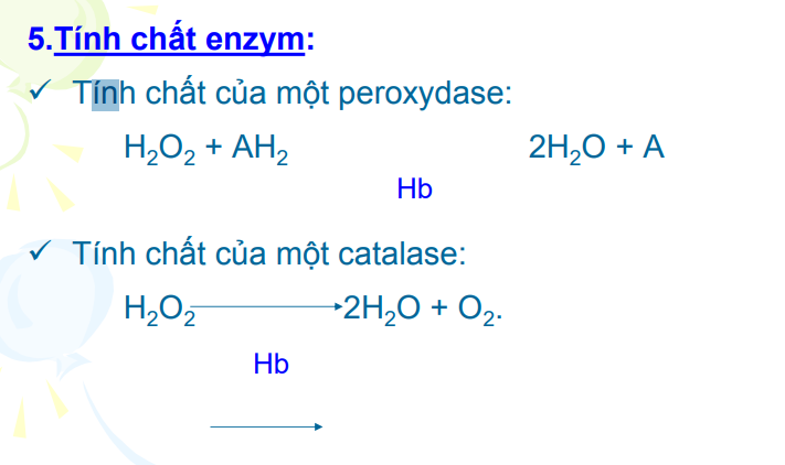 <p>Có thể xúc tác như catalase hay peroxydase</p><p>→Xử lý H2O2</p>