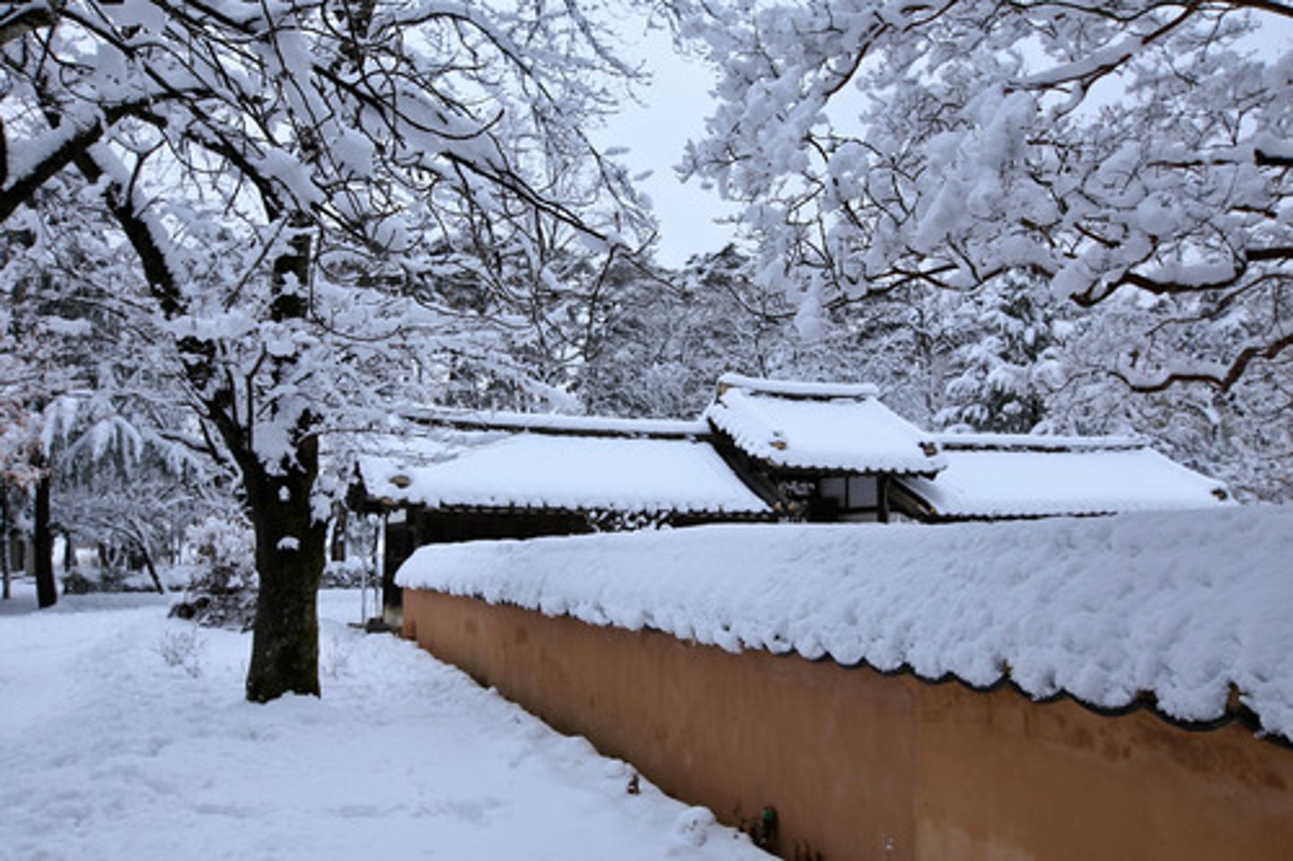 <p>tuyết ngừng rơi</p><p>눈이 그쳤어요</p><p>Tuyết đã ngừng rơi</p>