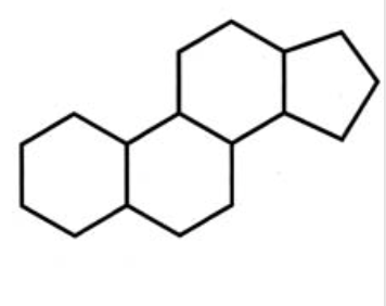 <p>a common motif for steroids</p>