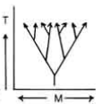 <p>population is split multiple times and evolves into many different species with a common ancestor (exposed to several different environments)</p>