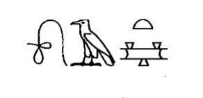 term image