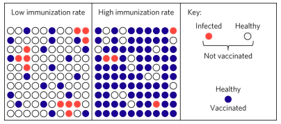 <p>the resistance of a group to an attack by a disease to which a large portion of the members of the group are immune</p><ul><li><p>optimal level will depend on disease itself</p></li><li><p>must be high (some estimates (95%) to prevent spread of highly contagious diseases (e.g. measles)</p></li><li><p>must be even higher to prevent spread in highly dense populations (99%)</p></li><li><p>if lower than optimal levels, can result in disease “targeting” those most susceptible (elderly, immune compromised, pregnant women) and many diseases are more virulent when contracted at older ages thereby raising the mortality rate</p></li></ul>