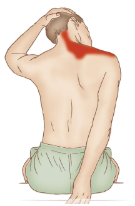 <p>This self-stretch is for?</p>
